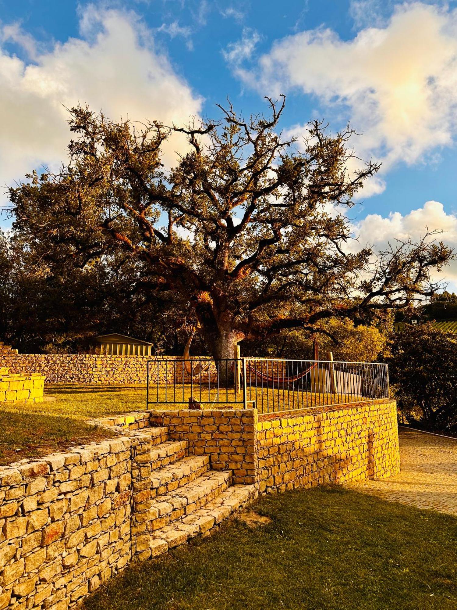 Quinta Boa Vida Villa Alcobaca Luaran gambar